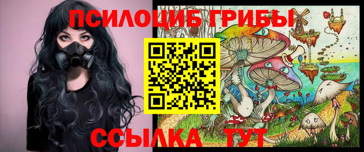 Псилоцибиновые грибы GOLDEN TEACHER  Вход с VPN  Павловский Посад 